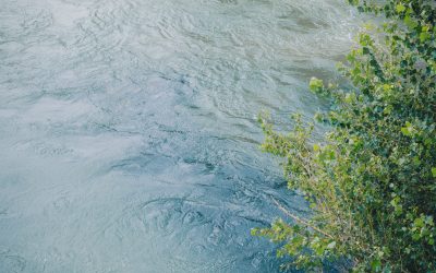Ressource en eau // Signature du Contrat de Progrès 2026-2030 entre l’État, le Conseil départemental de la Haute-Garonne, l’Agence de l’eau Adour-Garonne et la Banque des Territoires