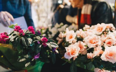 Remise des prix du Concours des Villes et Villages Fleuris de la Haute-Garonne 2025 – Mardi 10 mars à 14h30 – Hôtel du Département