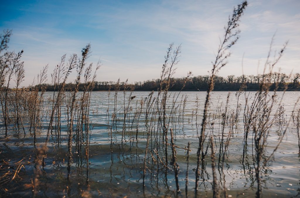Le Département inscrit le « Boisement alluvial du ruisseau du l’Oustadet » à Aspret-Sarrat au Conservatoire départemental des zones humides de la Haute-Garonne
