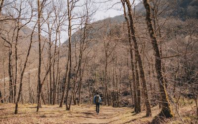 Le Département inscrit 5 nouveaux itinéraires au Plan départemental des Itinéraires de Promenade et de Randonnées
