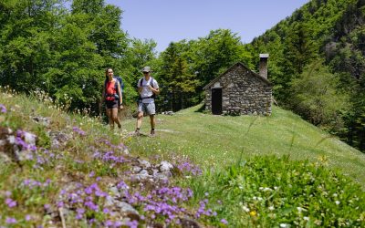 Le Département inscrit 2 nouveaux itinéraires au Plan départemental des Itinéraires de Promenade et de Randonnées sur les communes de Muret et Saubens