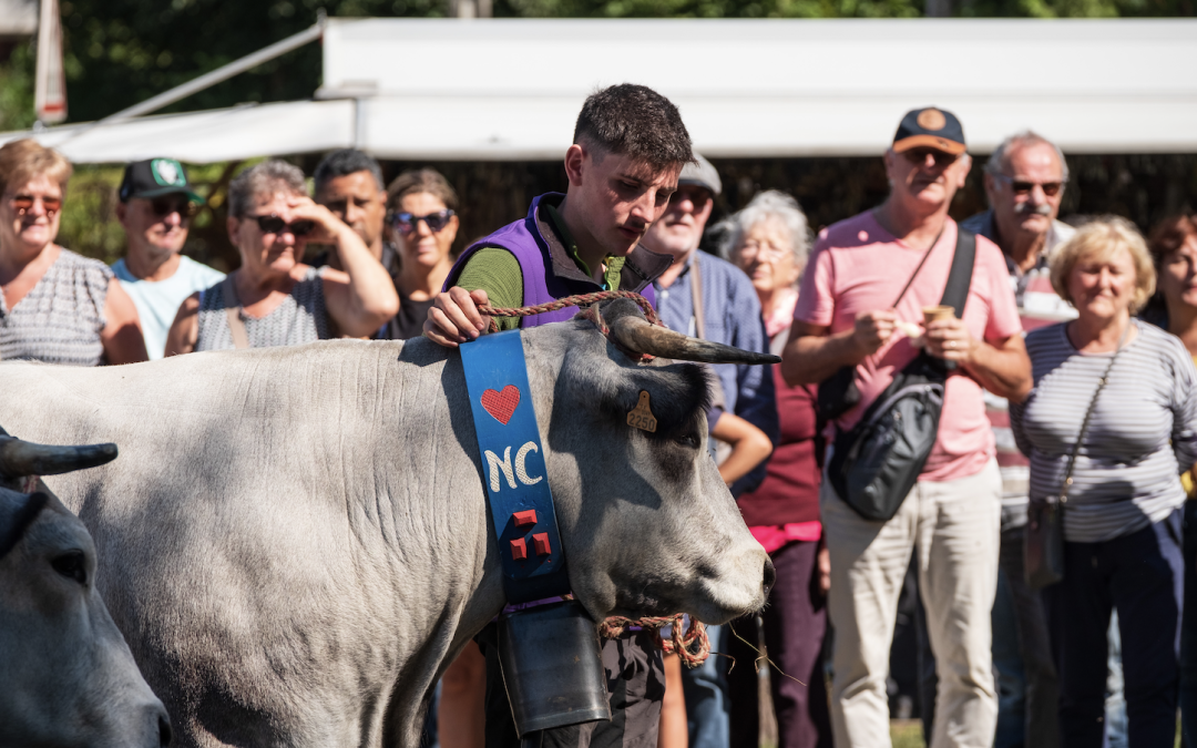 Le Conseil départemental de la Haute-Garonne partenaire de la Foire de Luchon