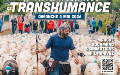Grande transhumance de brebis des Pyrénées de Villeneuve-lès-Bouloc à Launaguet – Dimanche 3 mai